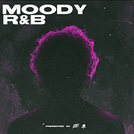 MOODY.RNB采样包：融合未来与复古的R&B之声