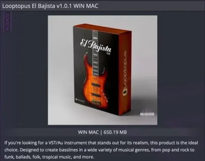 Looptopus El Bajista v1.0.1：贝斯手的理想VST3乐器